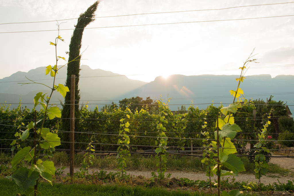Ferienwohnung Pippohof Appiano Sulla Strada Del Vino Quarto foto